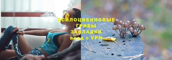 сатива Беломорск