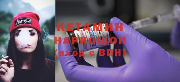 сатива Беломорск