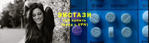 сатива Беломорск