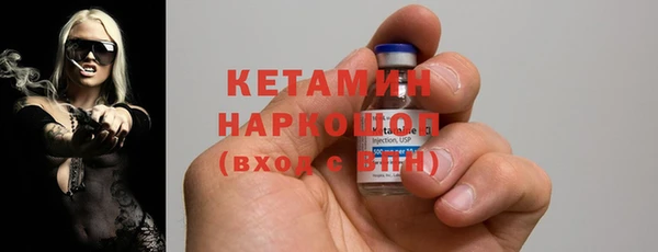 сатива Беломорск
