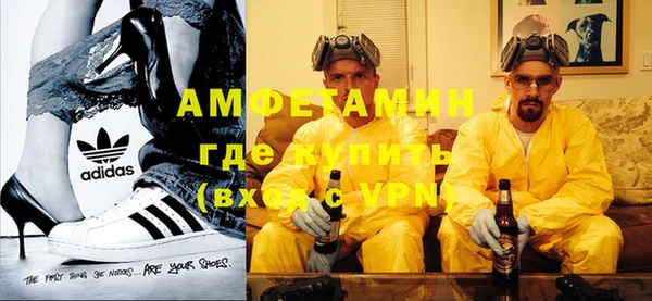 сатива Беломорск