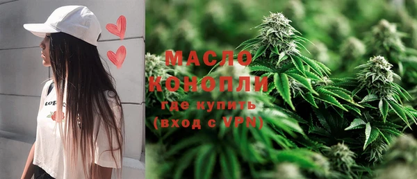 сатива Беломорск