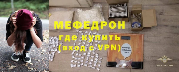 сатива Беломорск